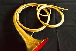 Greer Baroque Horn 2015