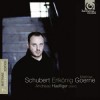 Schubert Lieder Volume 7: Erlkönig 
Matthias Goerne, baritone 
Andreas Haefliger, piano